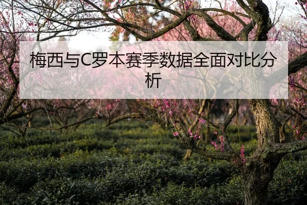 梅西与C罗本赛季数据全面对比分析