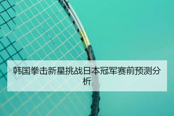 韩国拳击新星挑战日本冠军赛前预测分析